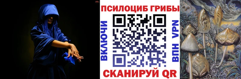 Купить где  Кубинка  Галлюциногенные грибы Cubensis 